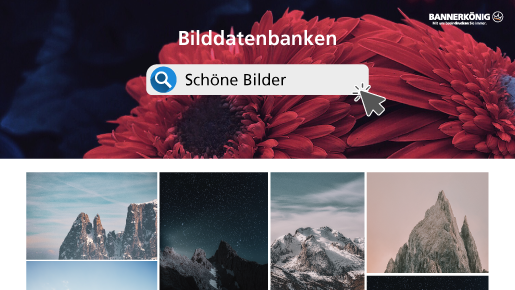 Gratisbilder finden und rechtlich sicher verwenden | BANNERKÖNIG